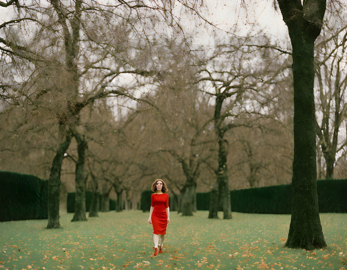 Woman in red dress in autumnal park with fallen leaves and bare trees