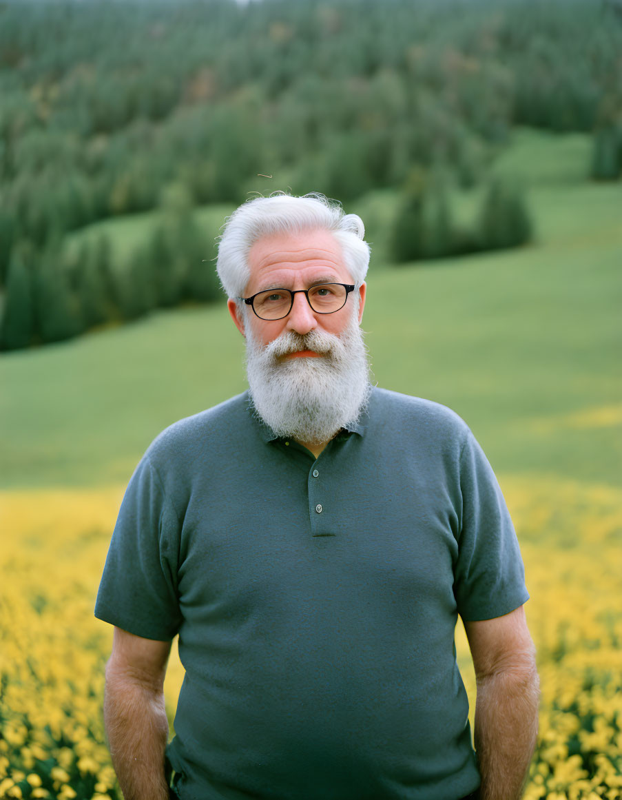 Elderly man with white beard in green polo shirt in front of yellow flower field