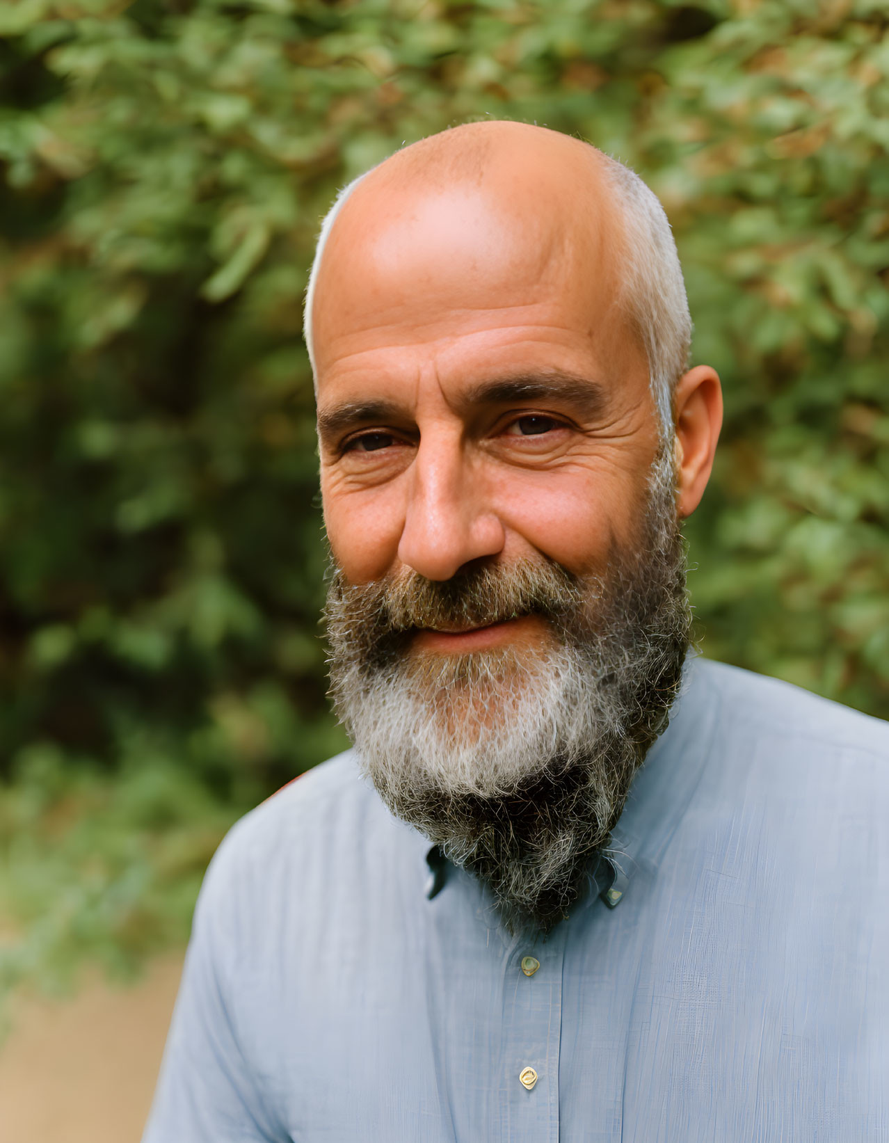 Gray-bearded bald man smiling in blue shirt against green foliage