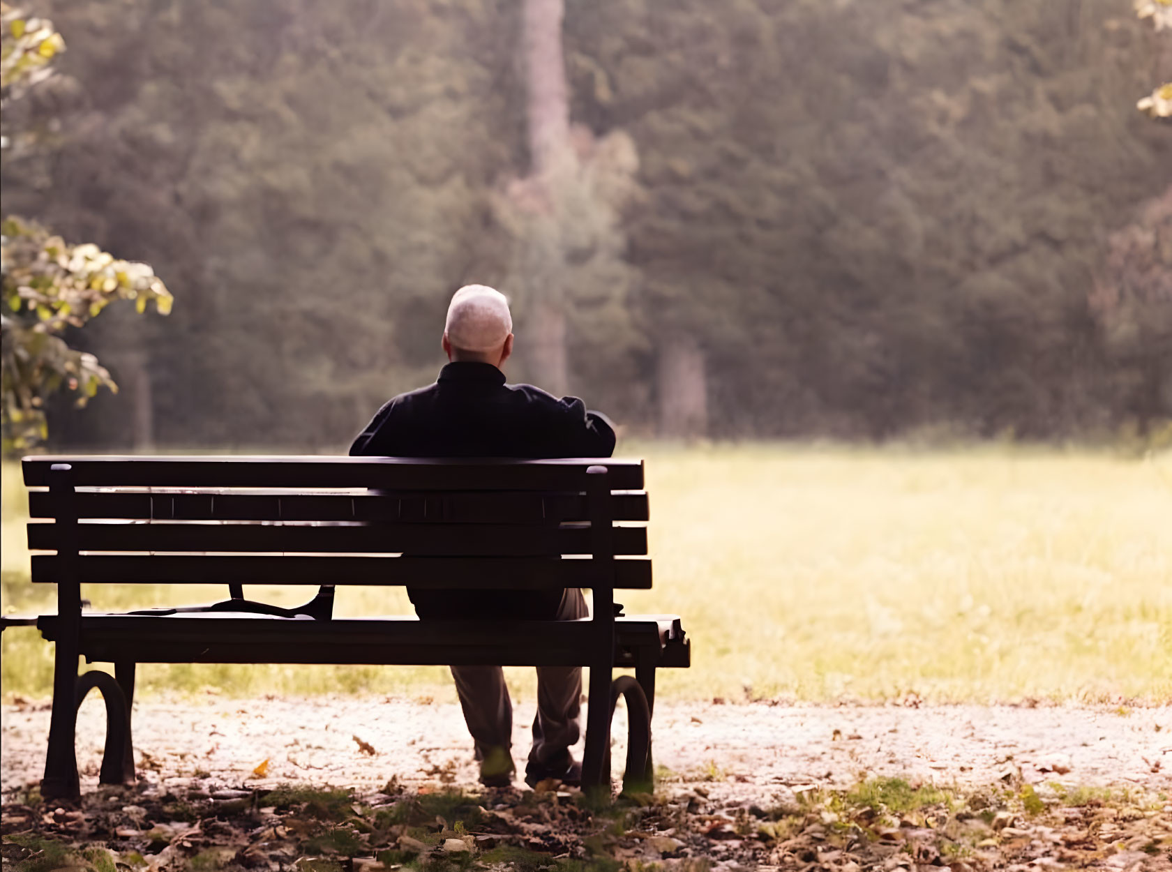 Elderly Person Pensively Sitting on Park Bench Amidst Wooded Area