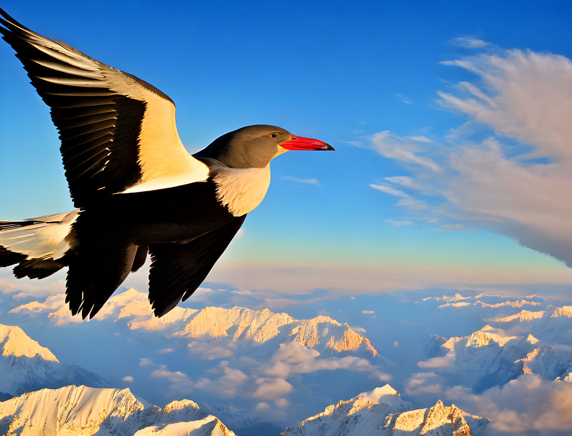 Seagull soaring over snowy mountain peaks under clear blue sky