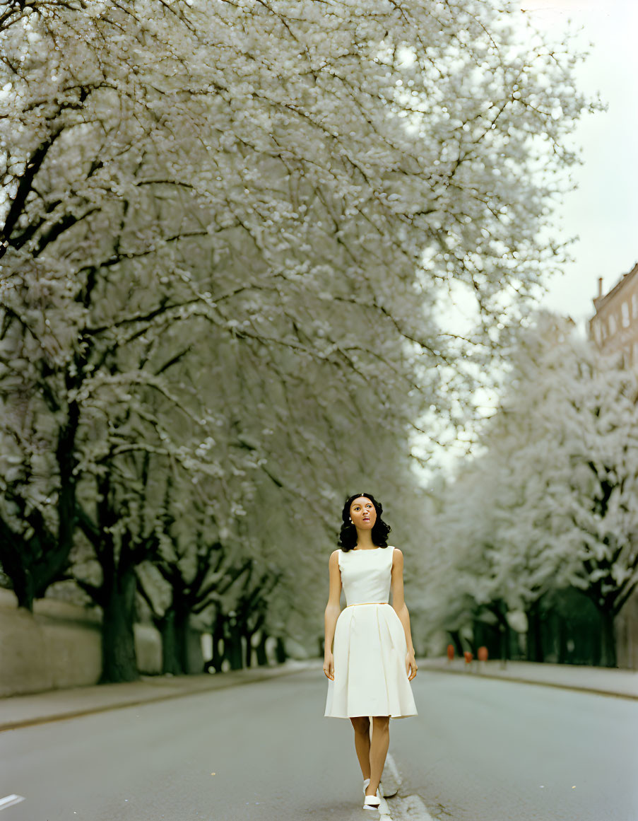 Woman in white dress under white blossoms on tree-lined street