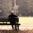 Elderly Person Pensively Sitting on Park Bench Amidst Wooded Area