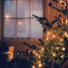 Warmly lit Christmas tree in cozy room with soft glow from window