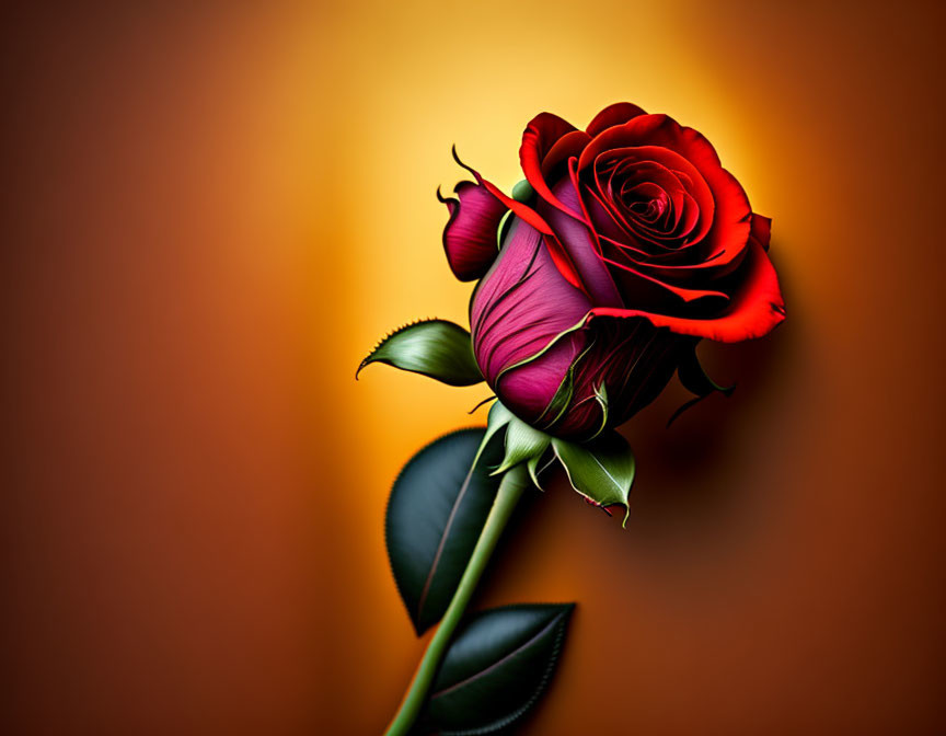 Vibrant red rose with green leaves and thorns on soft-focus orange backdrop