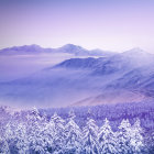 Snowy landscape with castle on mountain in pinkish glow