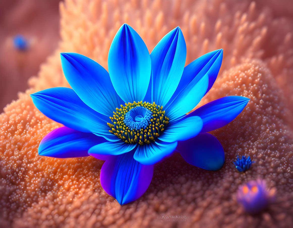 Detailed Blue Flower on Textured Orange Surface with Smaller Blooms