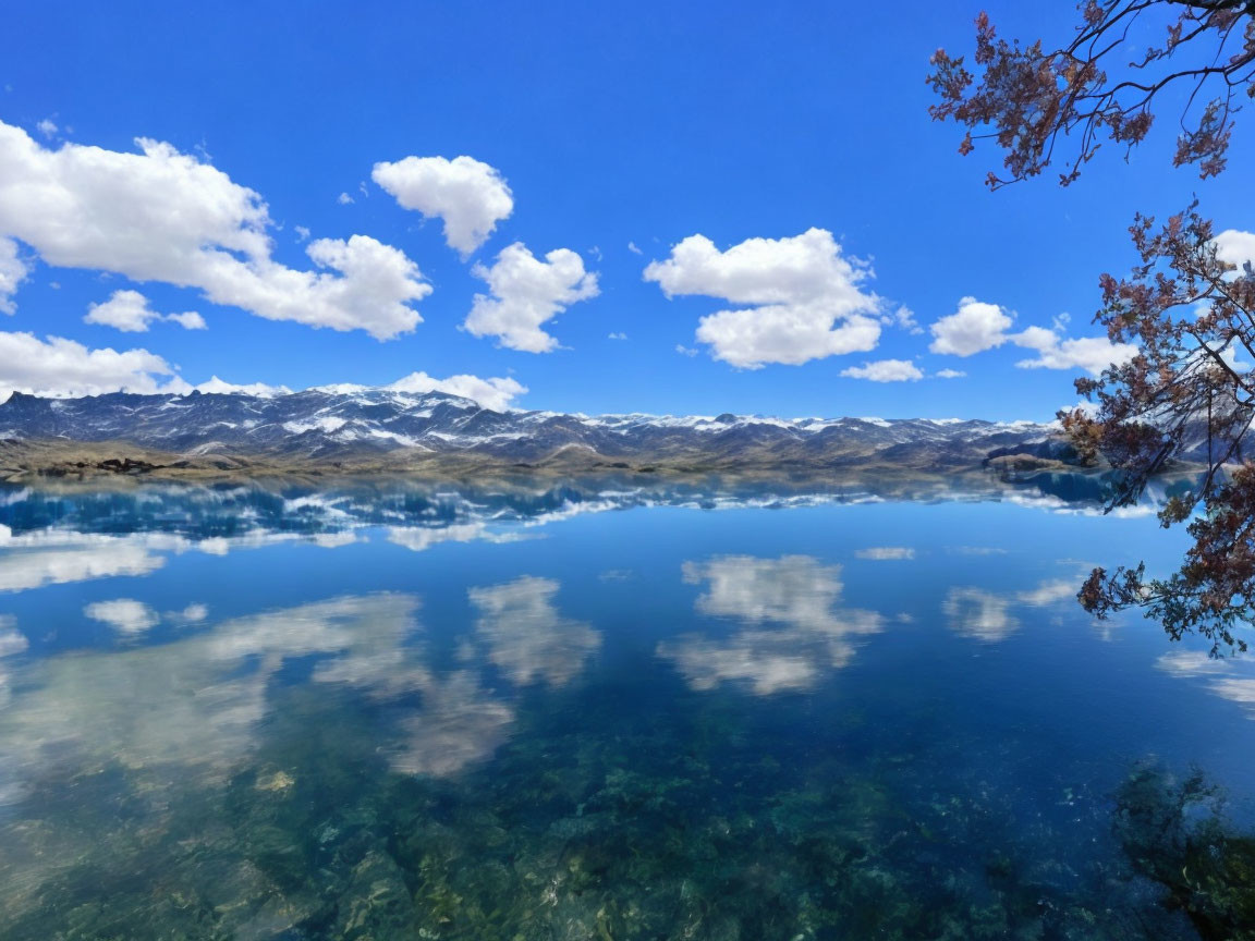 Scenic mountain lake with snowy peaks and tree branch under blue sky