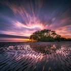 Tranquil lake scene with island, purple sunset sky, tree reflections, and cracked land.