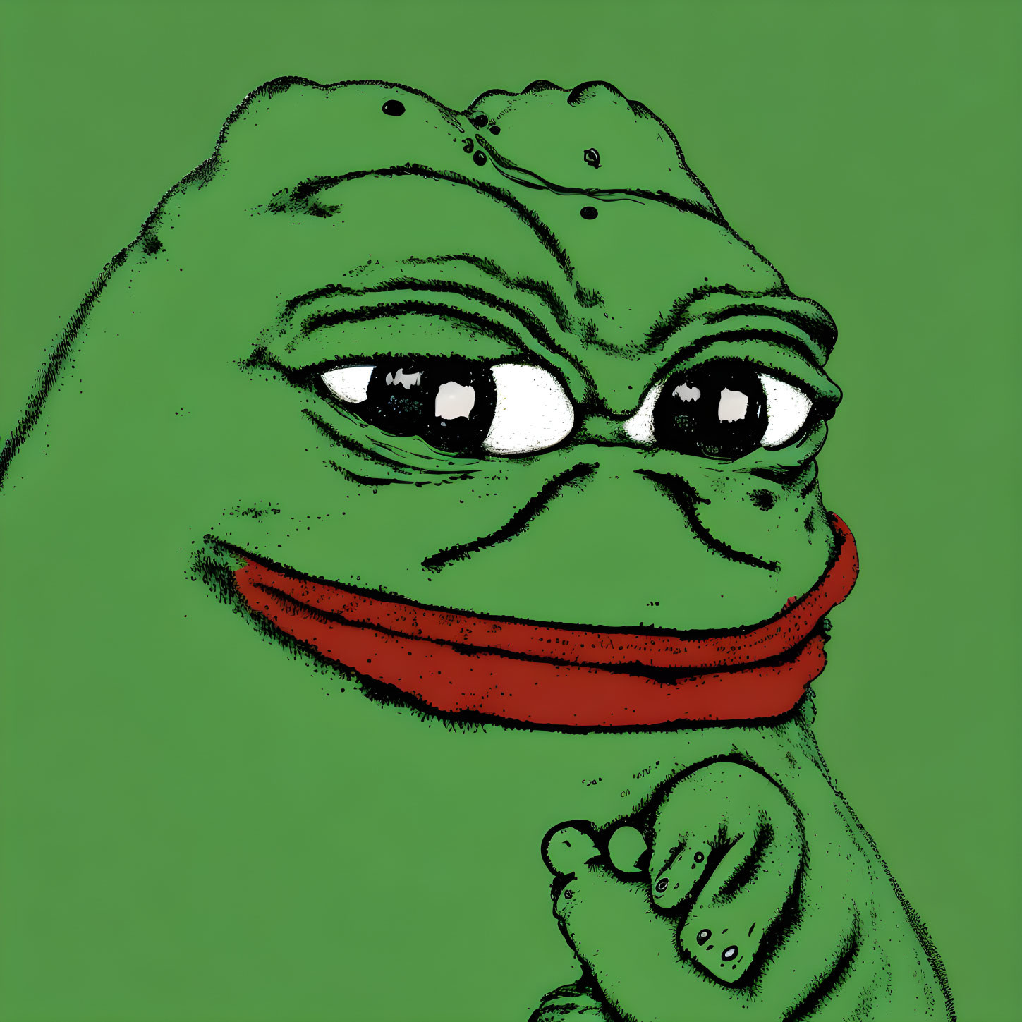 Smug-looking frog illustration on plain green background