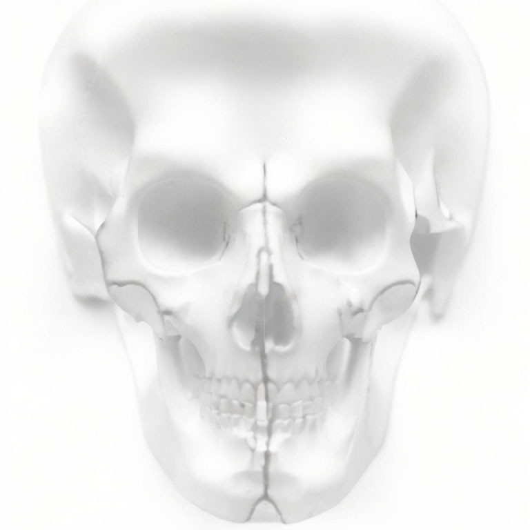 Symmetrical frontal view of human skull with eye sockets and teeth details