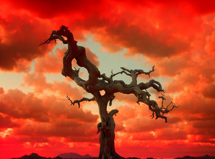 Gnarled tree against dramatic red and orange sunset sky