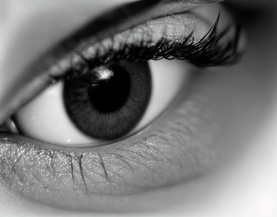 Detailed Black and White Close-Up of Human Eye with Eyelashes and Skin Texture