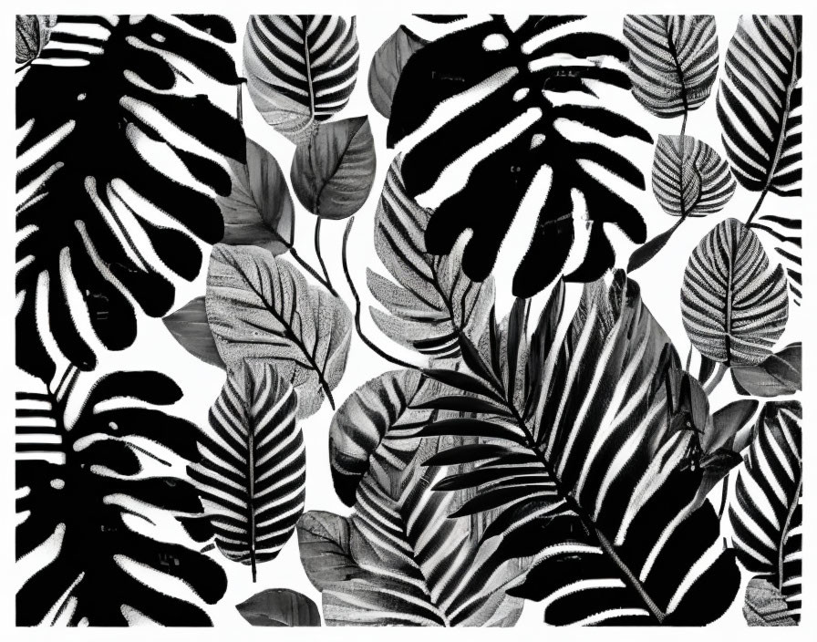 Monochromatic Tropical Leaves Collage: Dense Foliage Texture