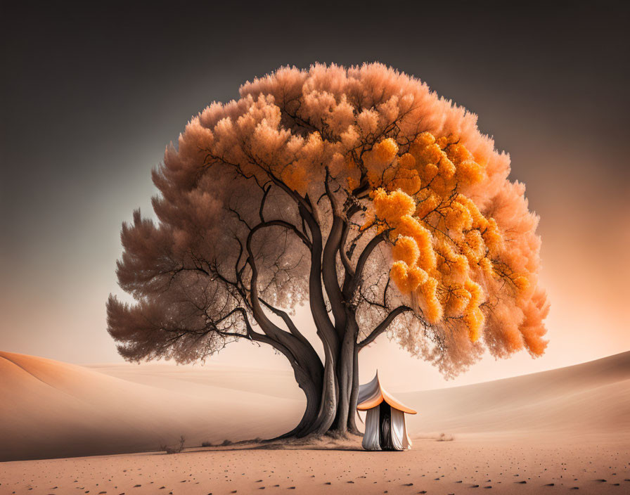 Solitary tent under lush tree in tranquil desert landscape