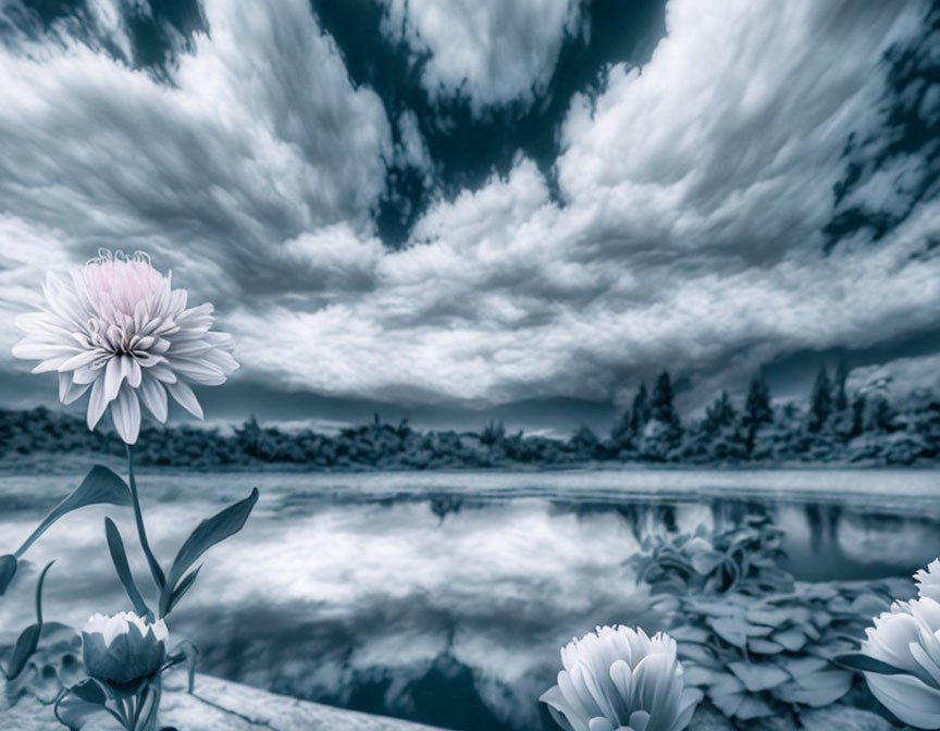 Tranquil infrared landscape with lake, water lilies, and dramatic sky