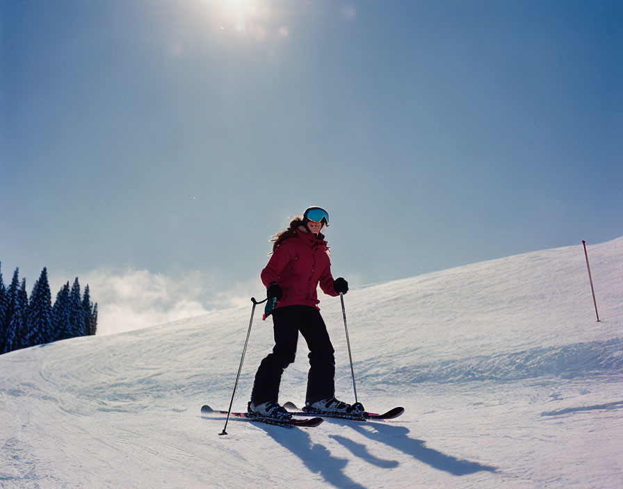 Skier in Red Jacket on Snowy Slopes with Pine Trees