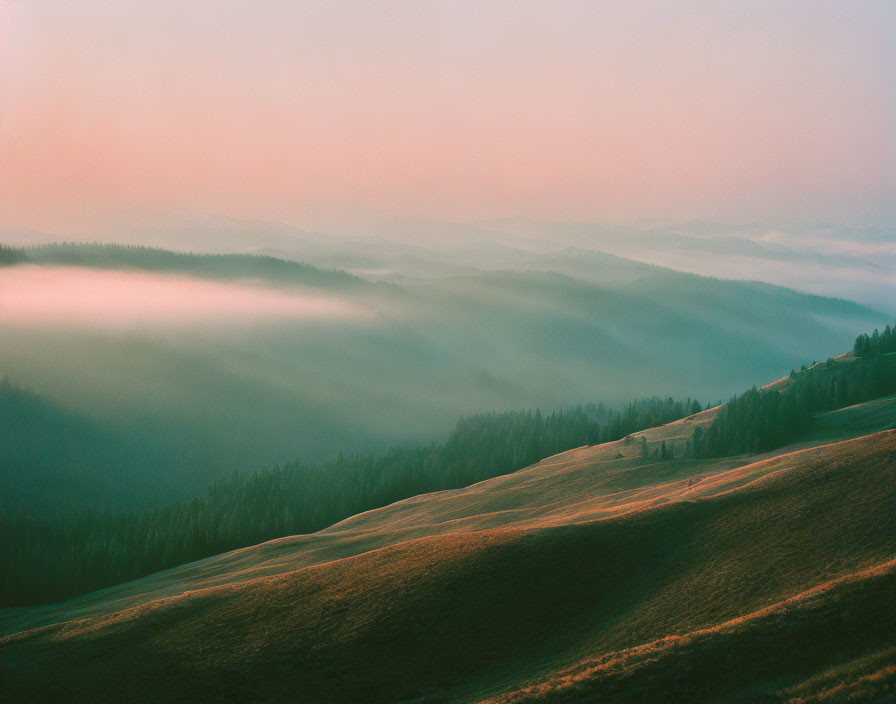 Serene sunrise or sunset over misty forested rolling hills