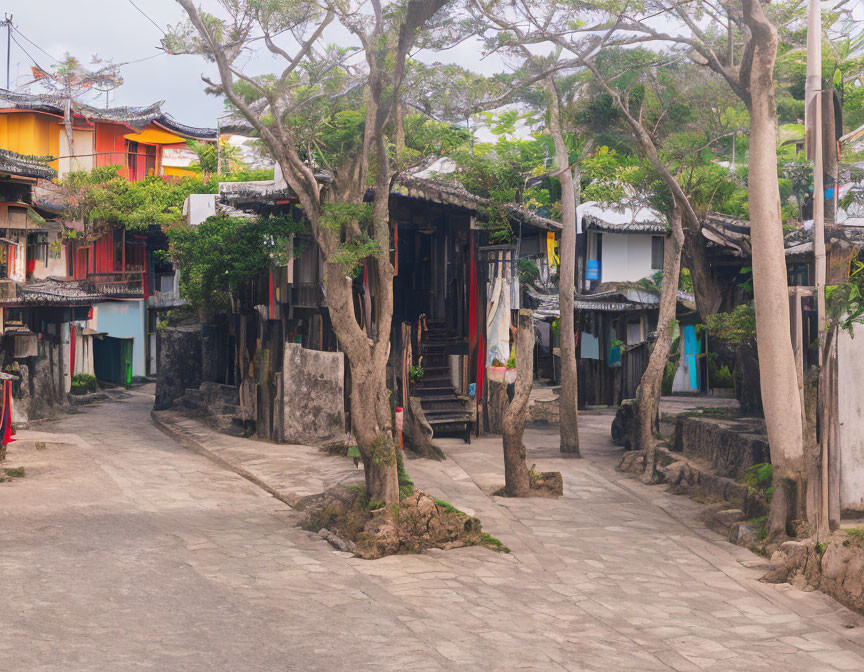 Stone-paved Street in Old Village with Traditional Houses