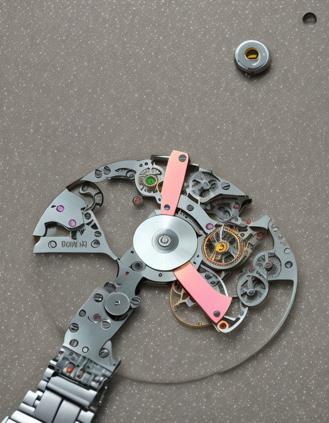 Watch Parts Disassembled on Textured Surface