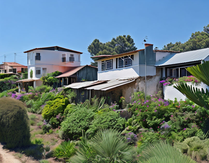 Rustic and Modern Houses in Greenery and Flowers