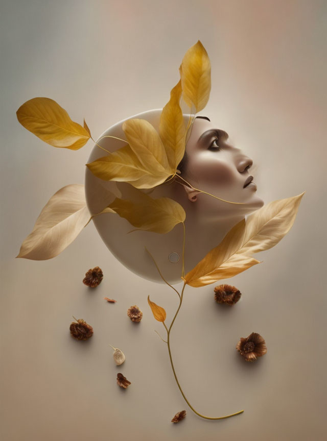 Surreal portrait: face merged with white sphere, golden leaves, brown seedpods on beige