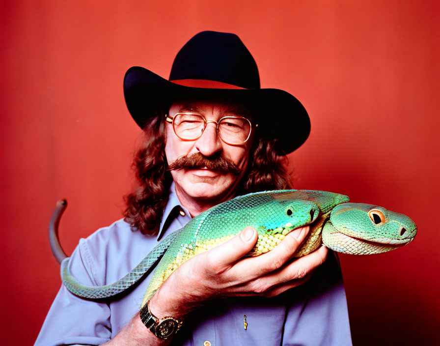 Mustached man in cowboy hat with two-headed snake model on red background