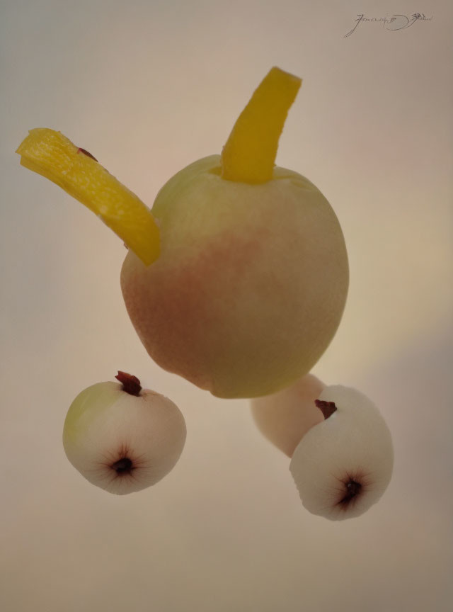 Artistic arrangement of peeled apple, lemon peel stem, and radish wheels as whimsical edible vehicle