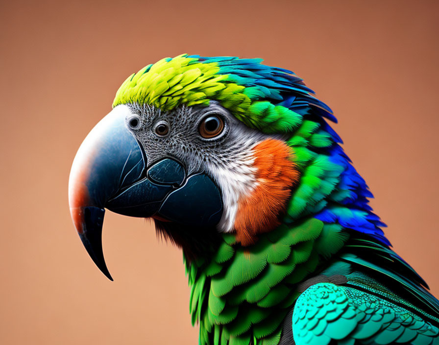 Colorful Macaw Parrot Close-Up with Green, Blue, and Orange Feathers