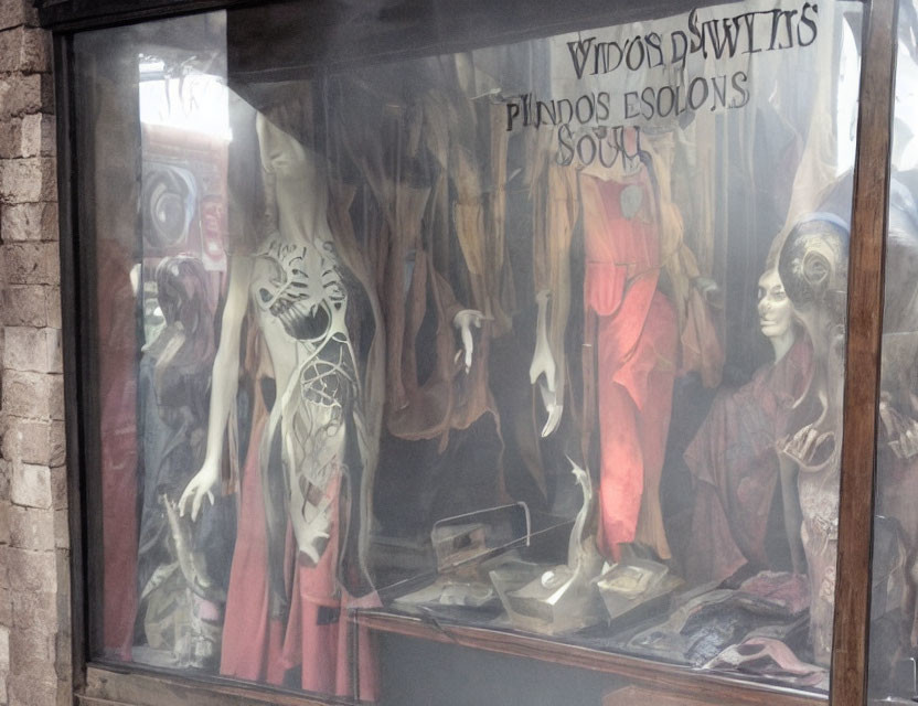 Vintage-style Mannequins with Skeletal and Anatomical Designs in Dusty Shop Window