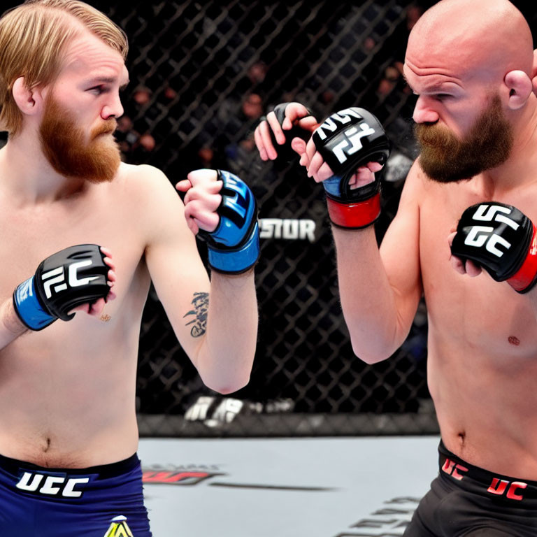 Two bearded MMA fighters in blue and black shorts square off with gloves in the octagon