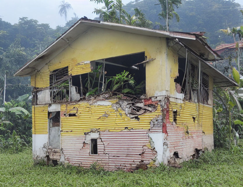 Abandoned yellow house with peeling paint in forest scene