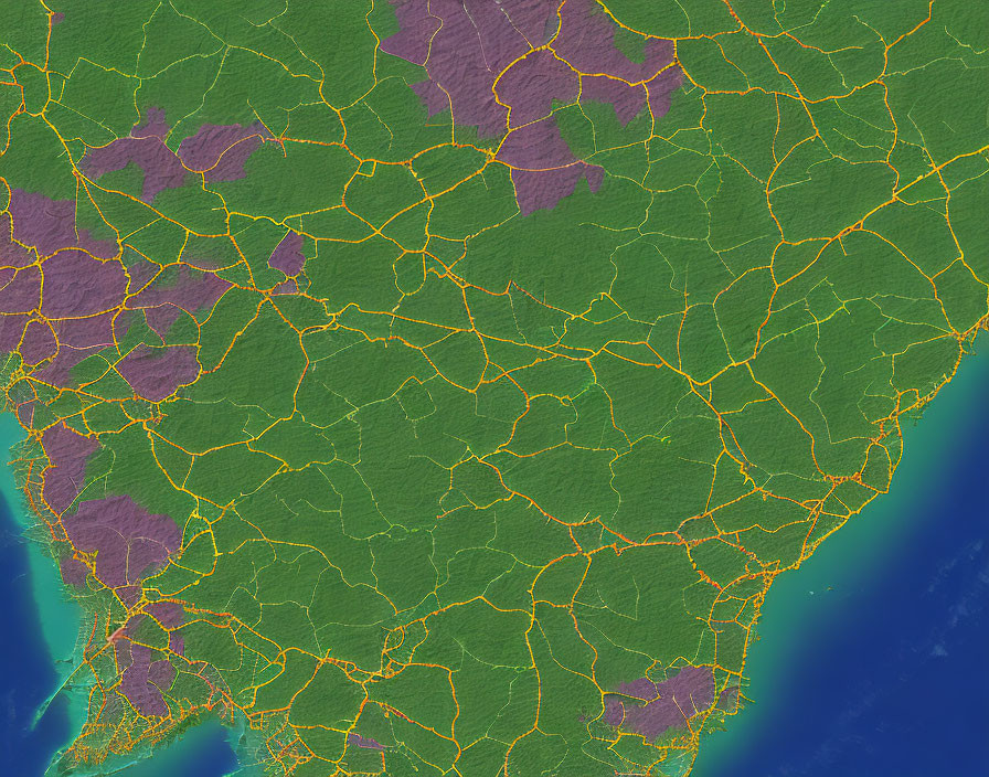 Green and purple textured regions divided by yellow lines in satellite image