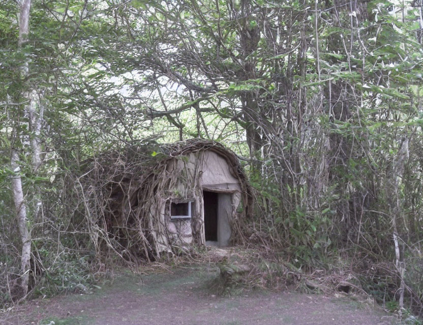 Small Thatched Hut in Leafy Forest with Blurred Details