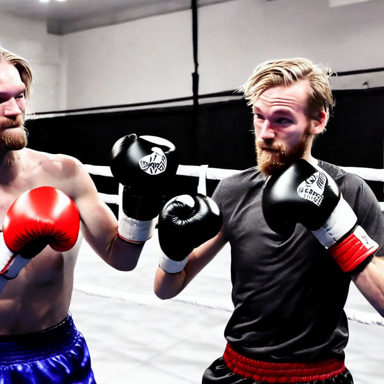 Boxing match: Two men in blue and red gloves in the ring