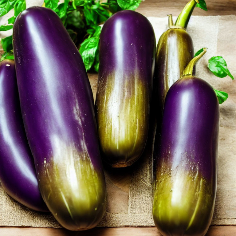 Vibrant Purple Eggplants on Hessian Fabric with Basil Leaves