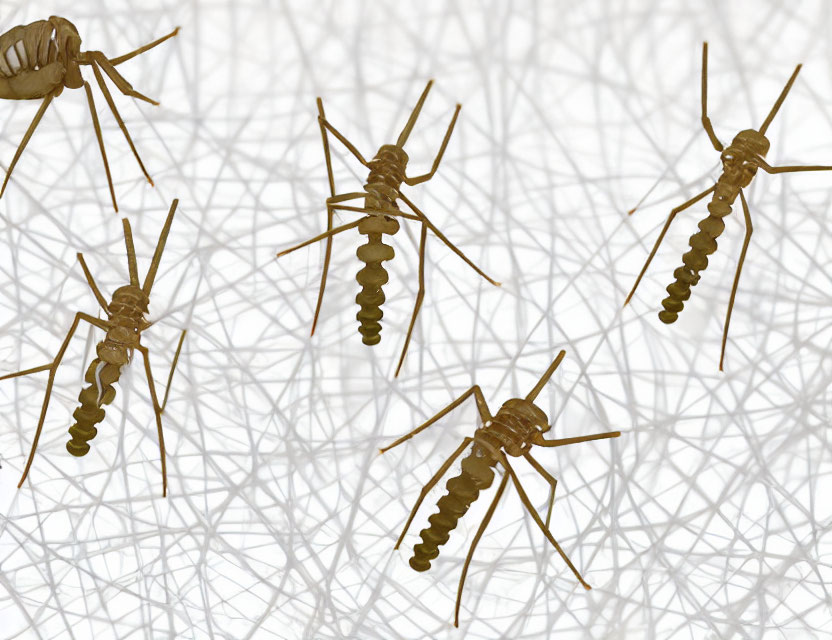 Multiple Mosquito Illustrations on Abstract Background