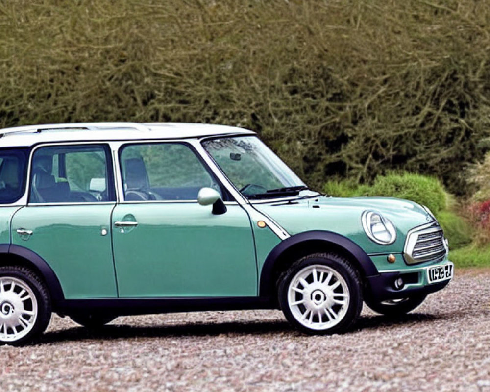 Green Mini Cooper parked on grassy area next to road with part of black vehicle visible