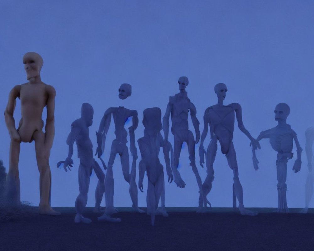 Collection of Humanoid 3D Models in Blue Fog Environment