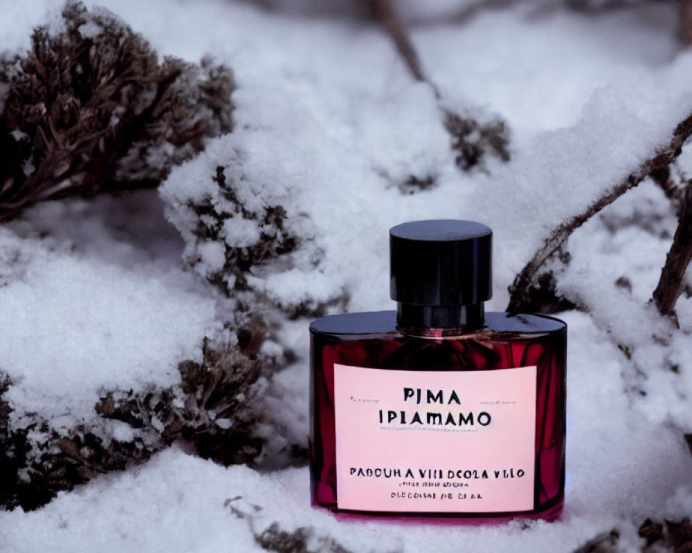 Dark perfume bottle amid snow-covered plants contrasts with bright snow