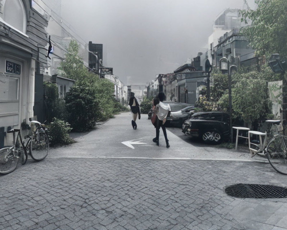 Misty urban street with parked cars and bikes, greenery, and buildings