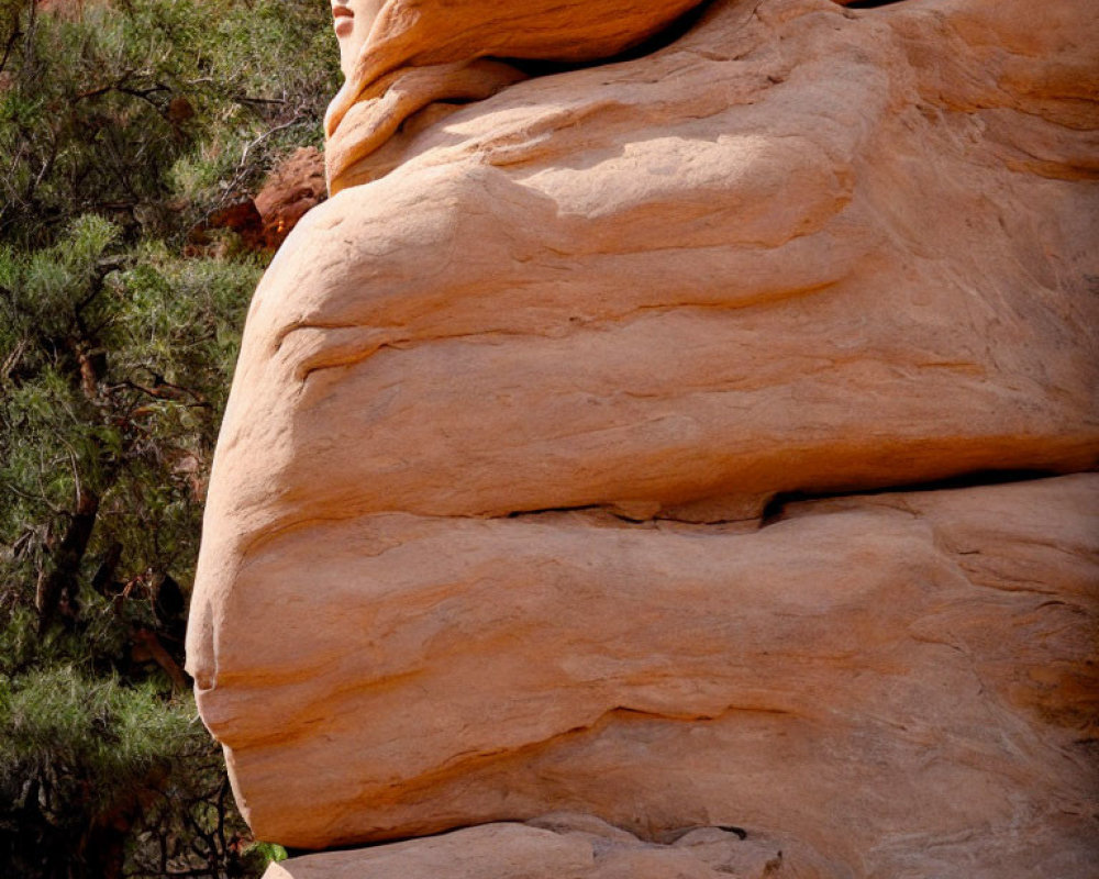 Red Sandstone Cliff with Human-Like Face Sculpted Naturally