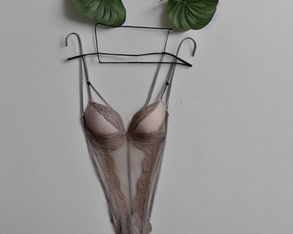 Sheer lacy bodysuit with green leaf ears on wire hanger