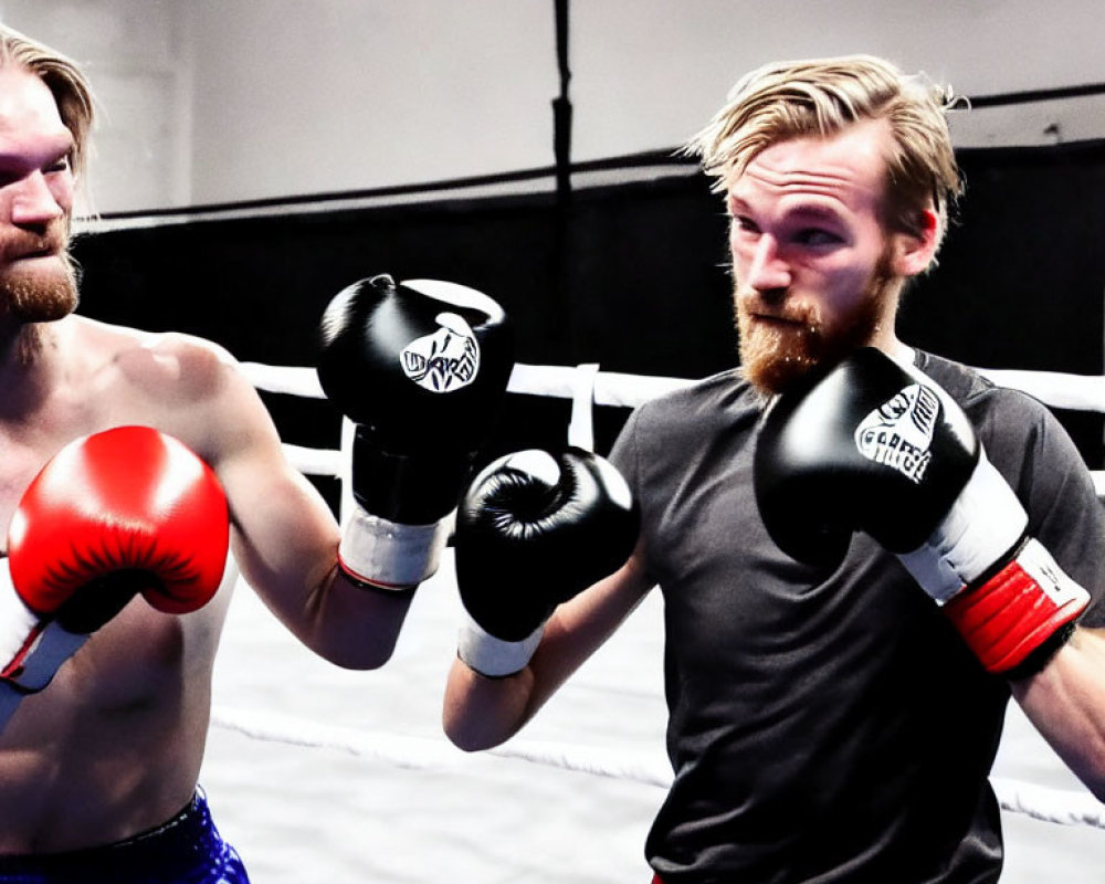 Boxing match: Two men in blue and red gloves in the ring