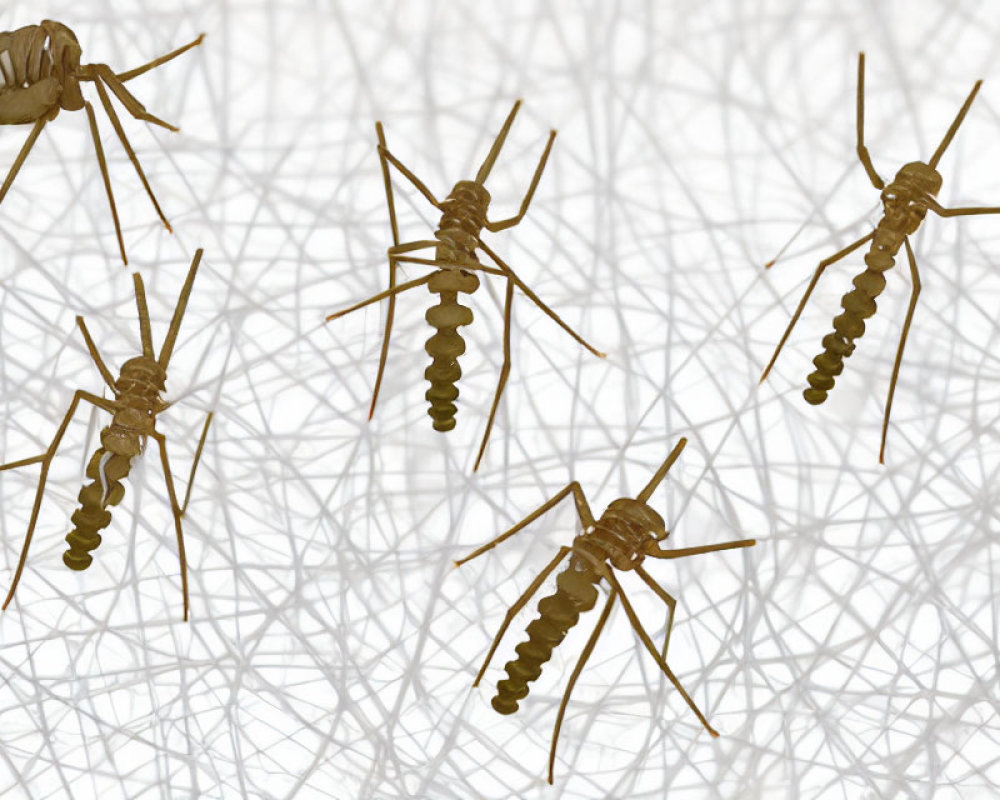 Multiple Mosquito Illustrations on Abstract Background