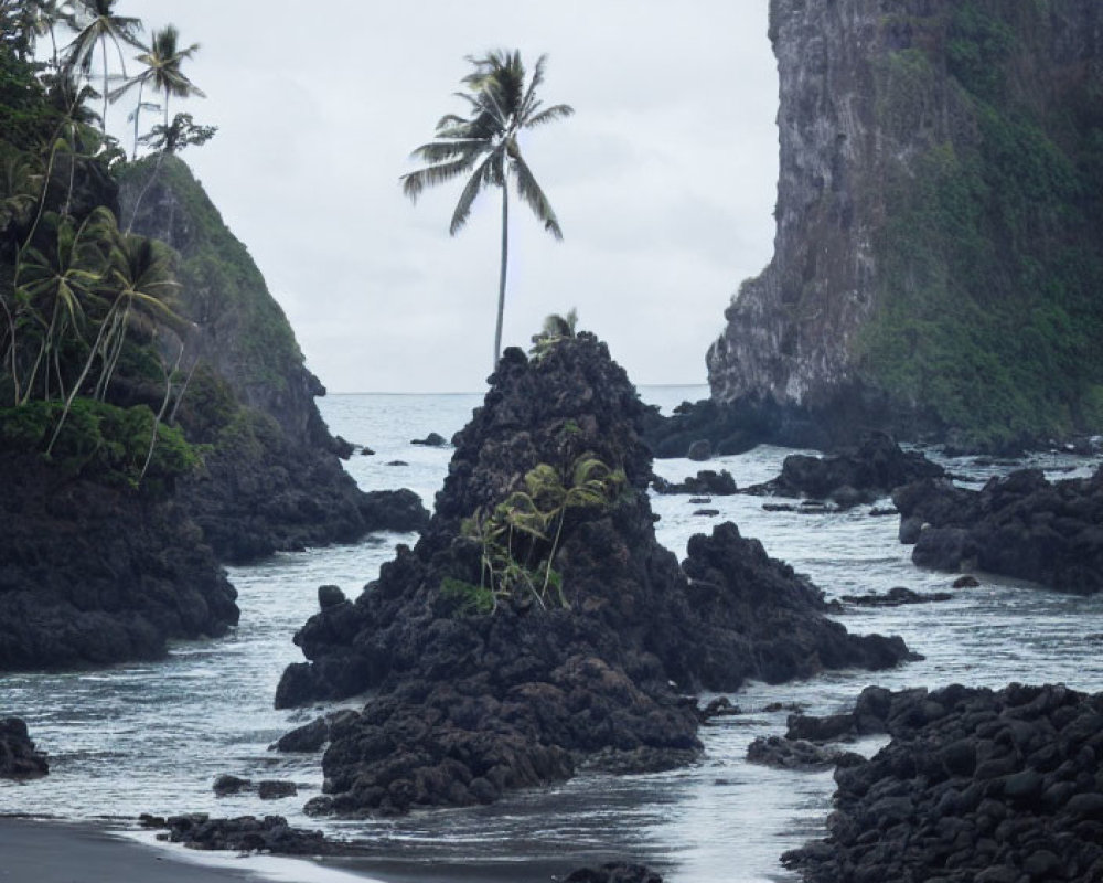 Tranquil beach with volcanic rocks, palm tree, lush foliage, towering cliff