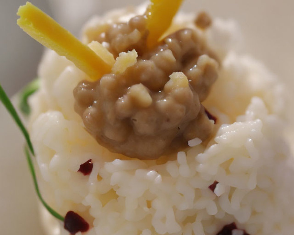 White Rice with Red Specks, Beige Sauce, Yellow Strips, and Green Garnish