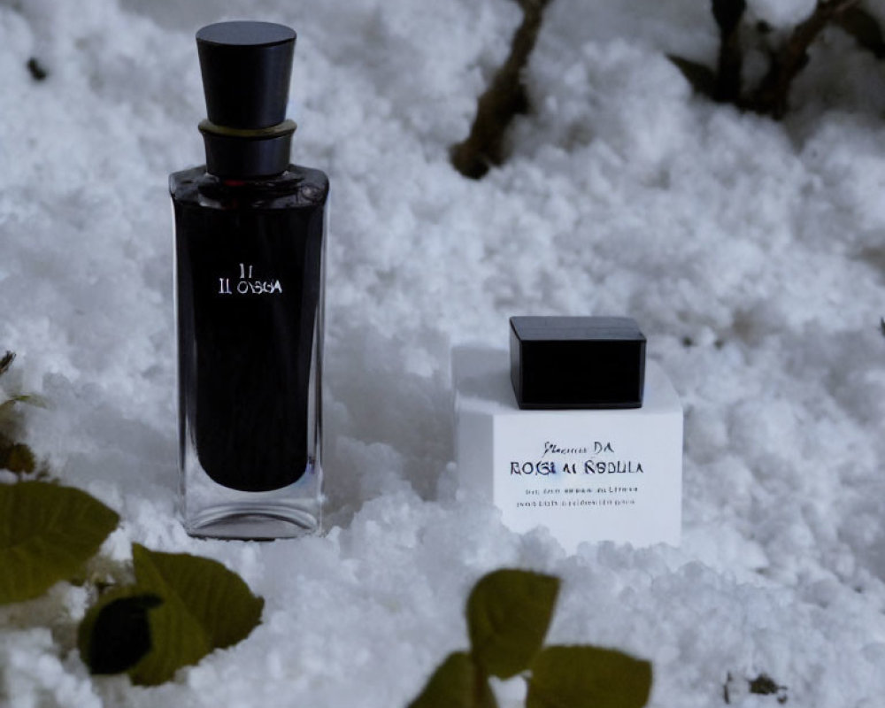 Perfume bottle and box labeled "Rosa di Rodola" on snow with green leaves.