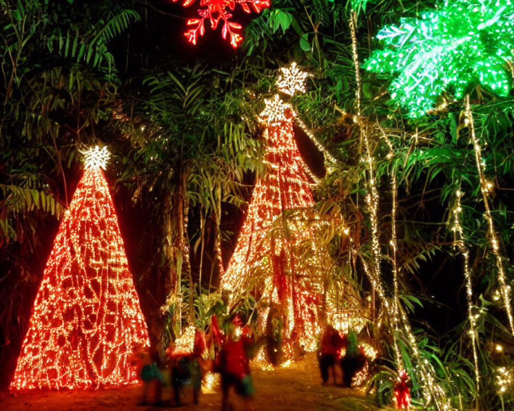 Colorful Outdoor Christmas Light Display with Illuminated Trees and Festive Decorations