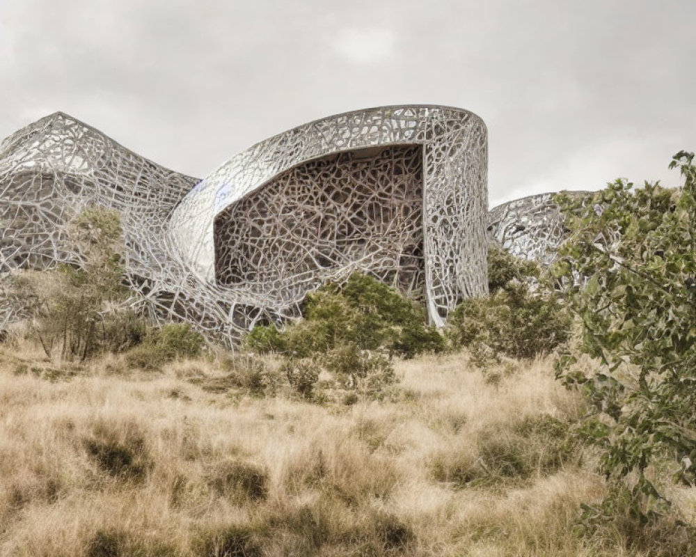 Modern building with lacy metal facade in dry grassland under overcast sky